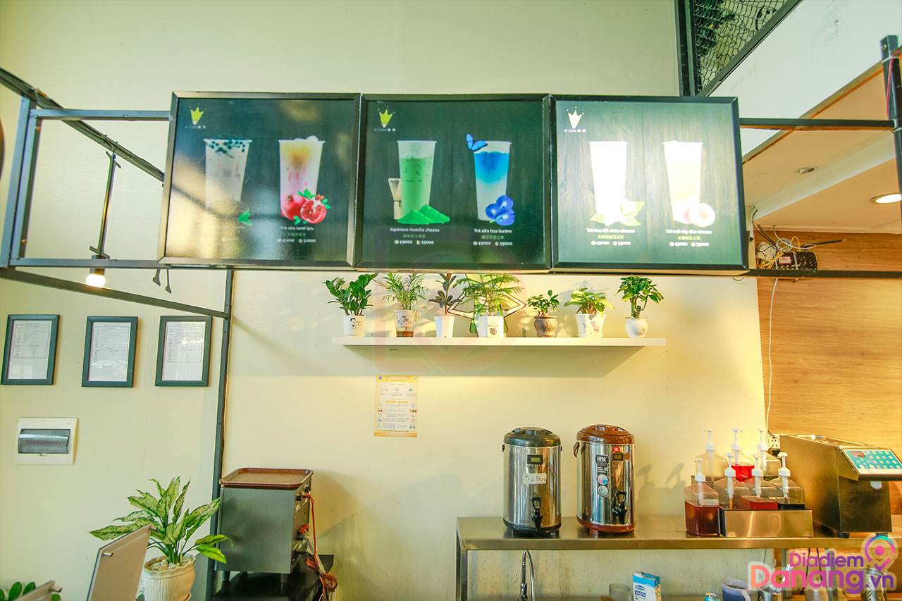 trà sữa xicha