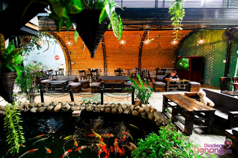 TMS coffee – góc cafe sân vườn chạy trốn nắng hè