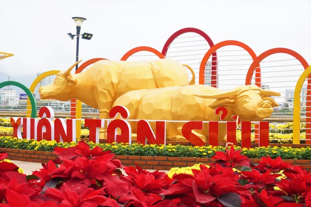Cận cảnh “nhan sắc” đường hoa xuân tiền tỷ tại Đà Nẵng