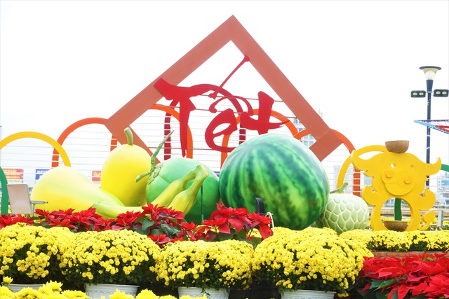 Cận cảnh nhan sắc đường hoa xuân tiền tỷ tại Đà Nẵng - 8