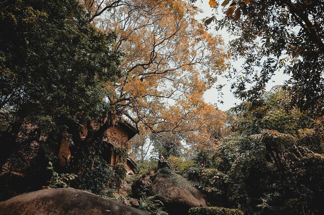 Ảnh: @vietnguyenvisual