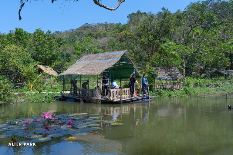 CÓ MỘT CHỐN AN YÊN GIỮA LÒNG ĐÀ NẴNG