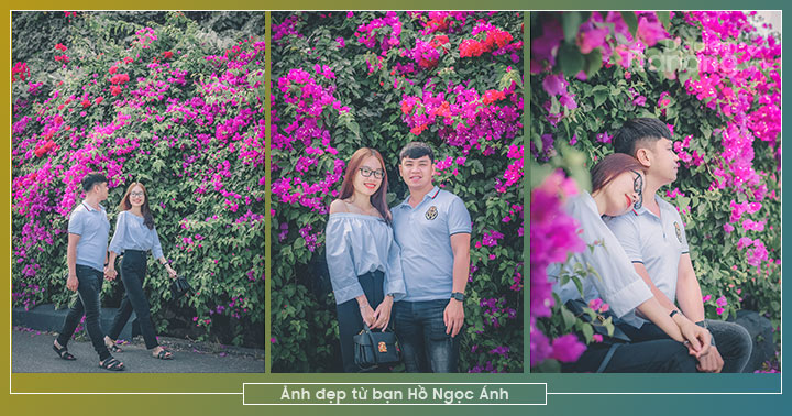 “Phát sốt” với con đường hoa giấy đẹp như tranh vẽ tại Đà Nẵng