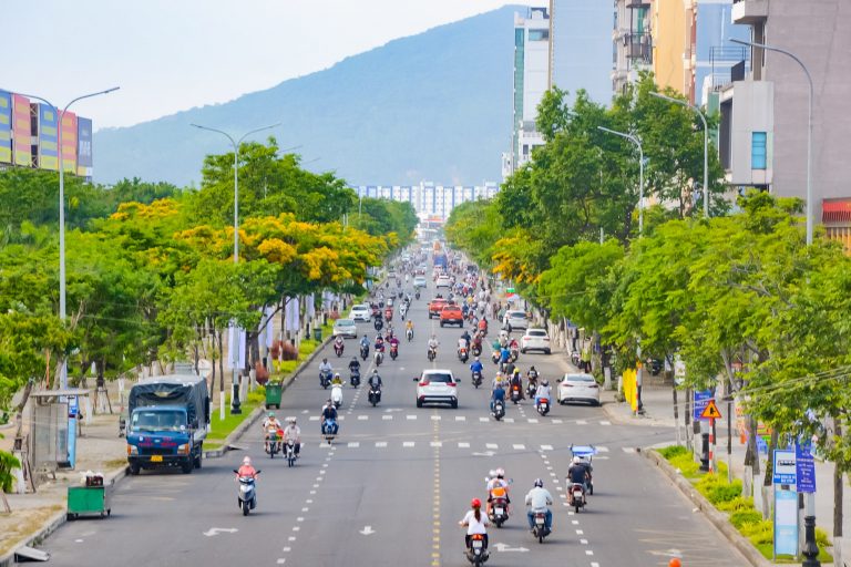Ngắm hoa sưa nở vàng rực đường phố Đà Nẵng