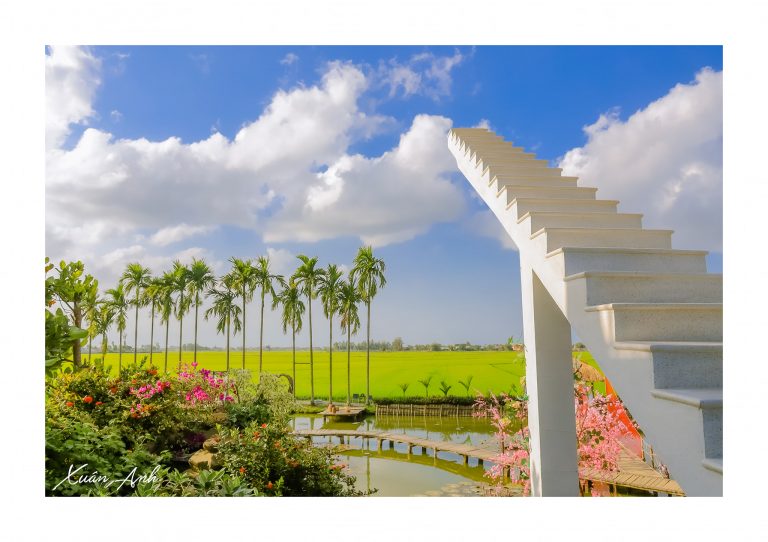 “Đọ sắc và thả dáng” với đầm sen đẹp ngay tại ngoại ô Đà Nẵng