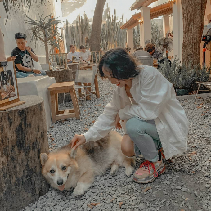 : Nh: @ kew.kewt