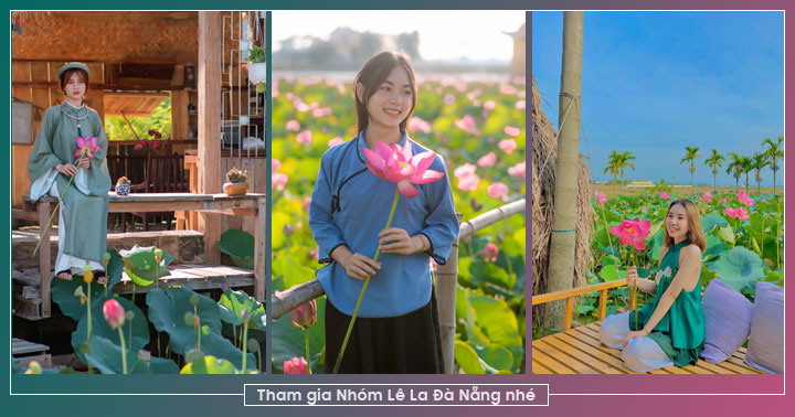 Cách Đà Nẵng không xa – Có rất nhiều đồng sen đang vào mùa