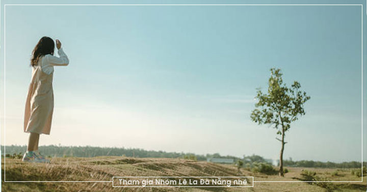 Lạc lối giữa vẻ đẹp bình dị của cây mù u cô đơn