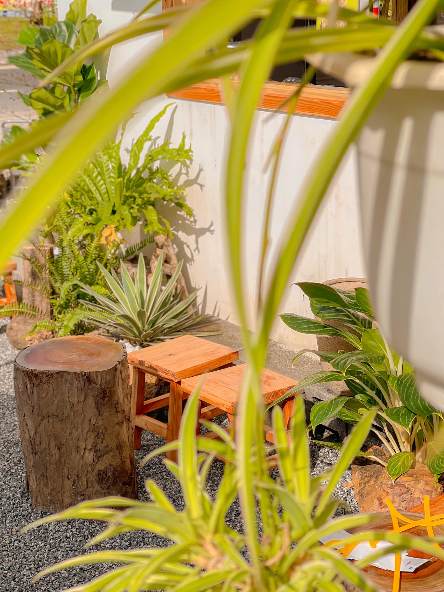 Ảnh: Page Cà phê Hiên