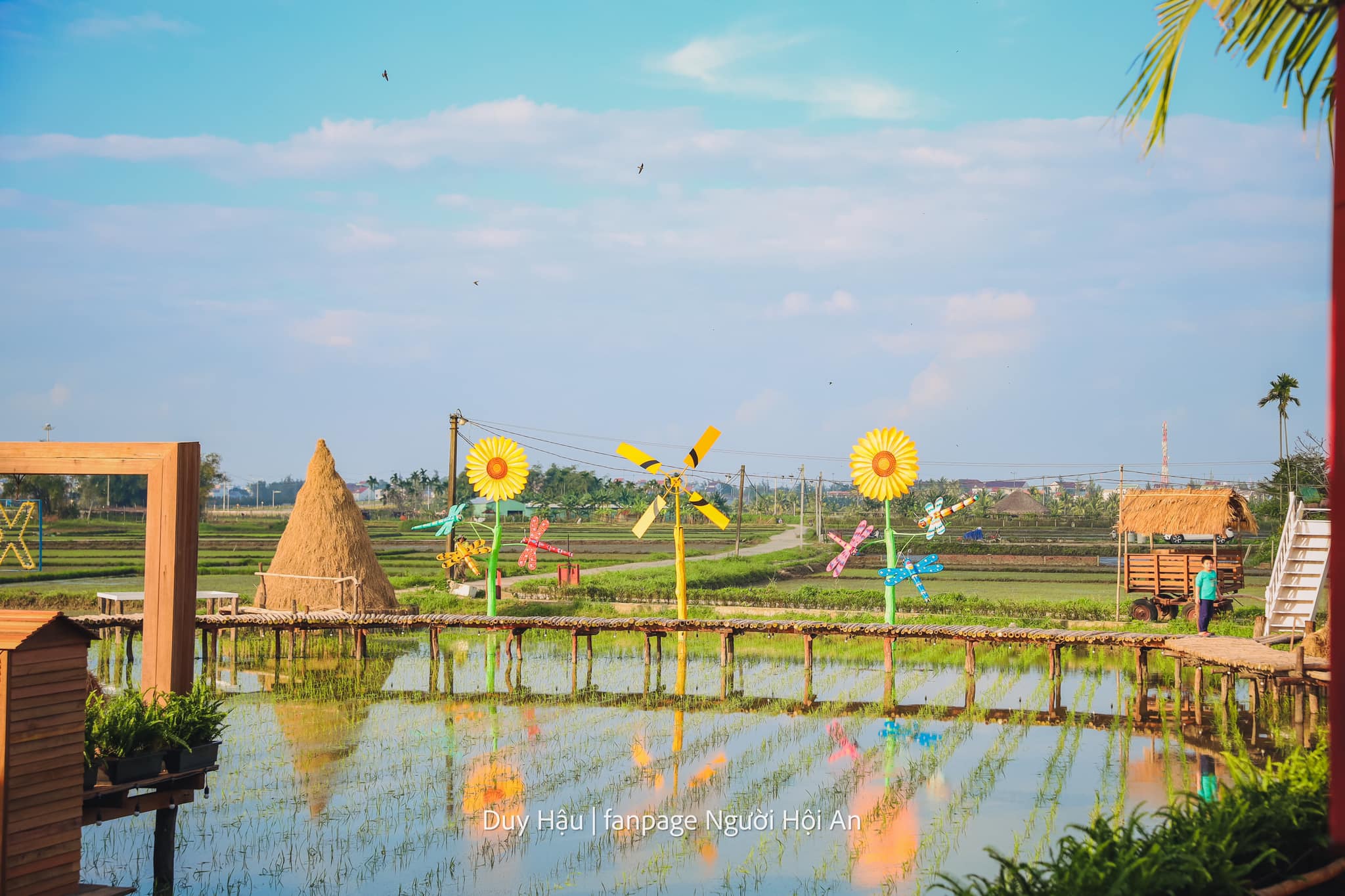 Nguồn ảnh: Duy Hậu | fanpage Người Hội An
