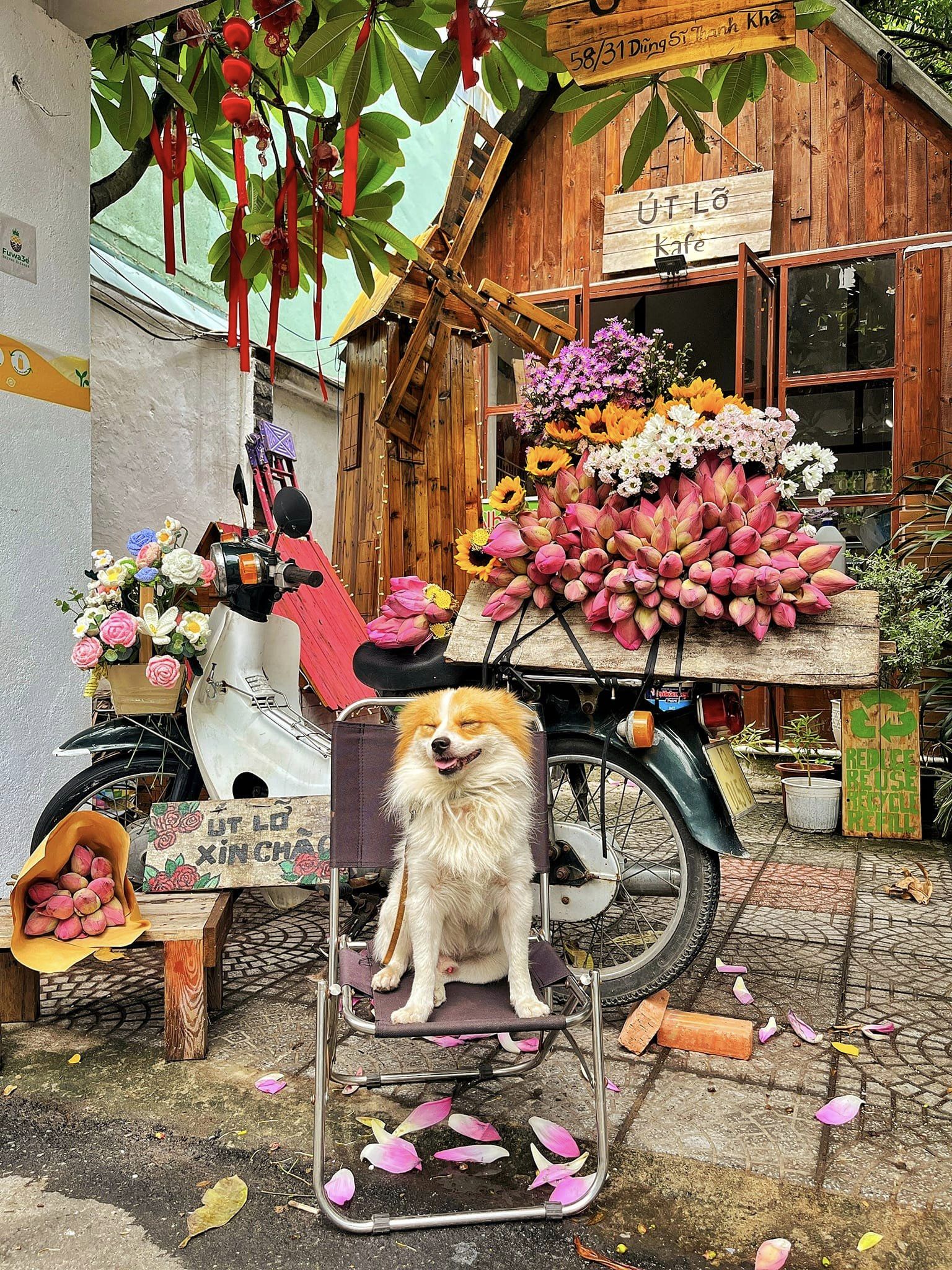 Xe hoa cùng em cún được yêu thích.