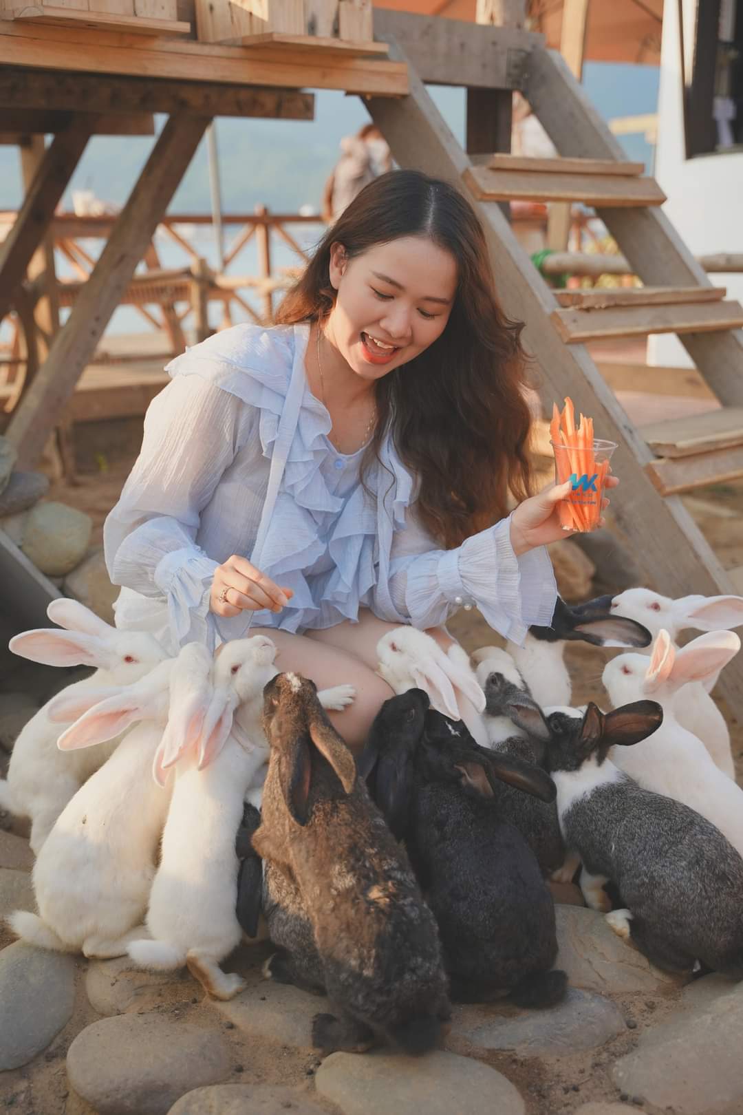 Trải nghiệm chơi đùa với thú cưng.