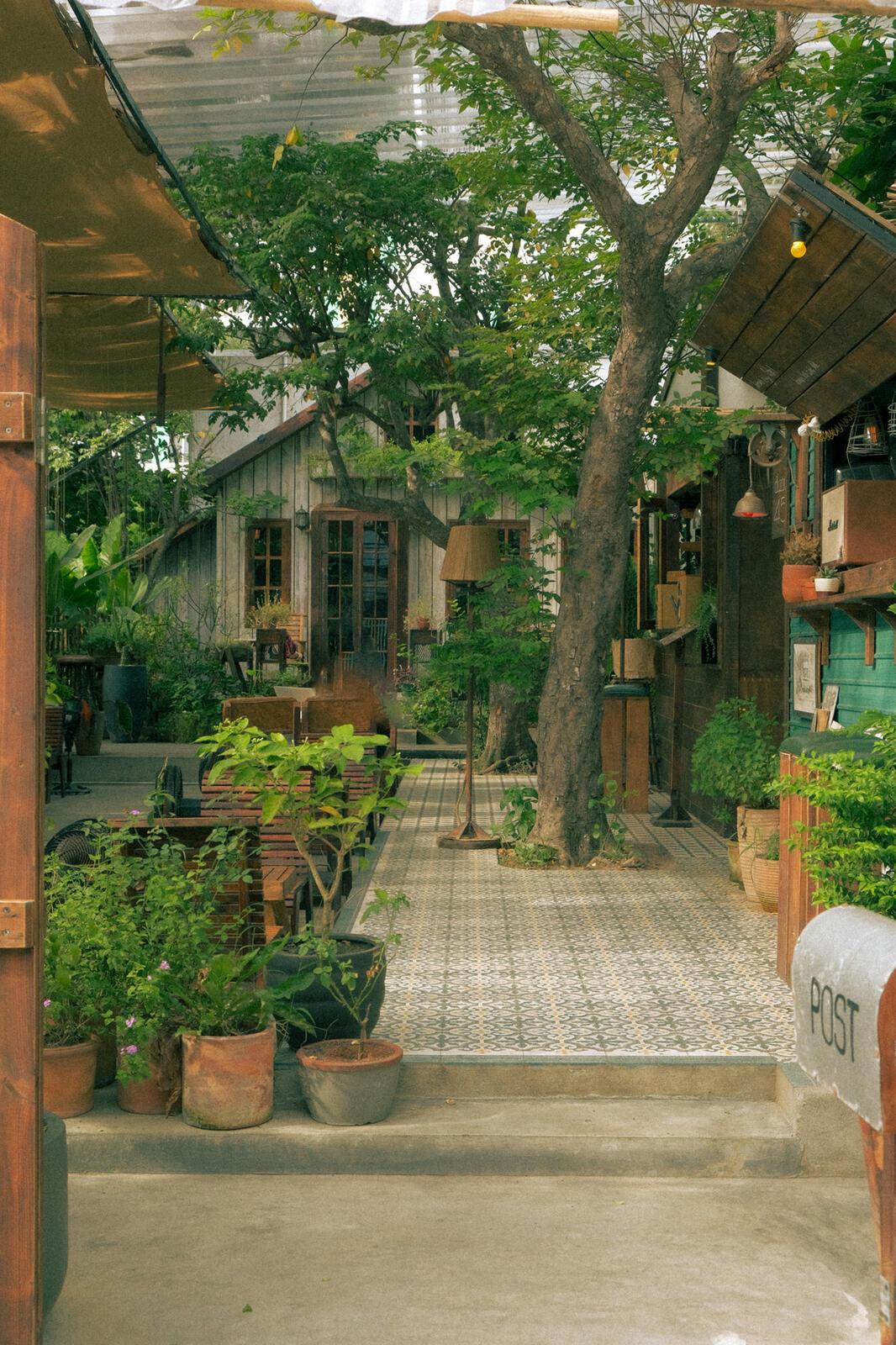 Vibe Đà Lạt mộng mơ.