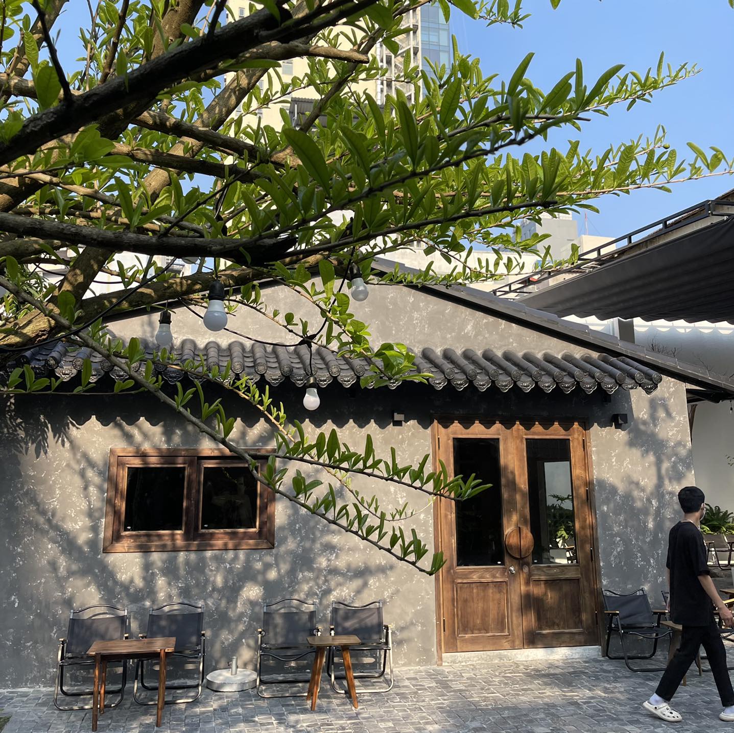Vibe Nhật Bản thu hút.