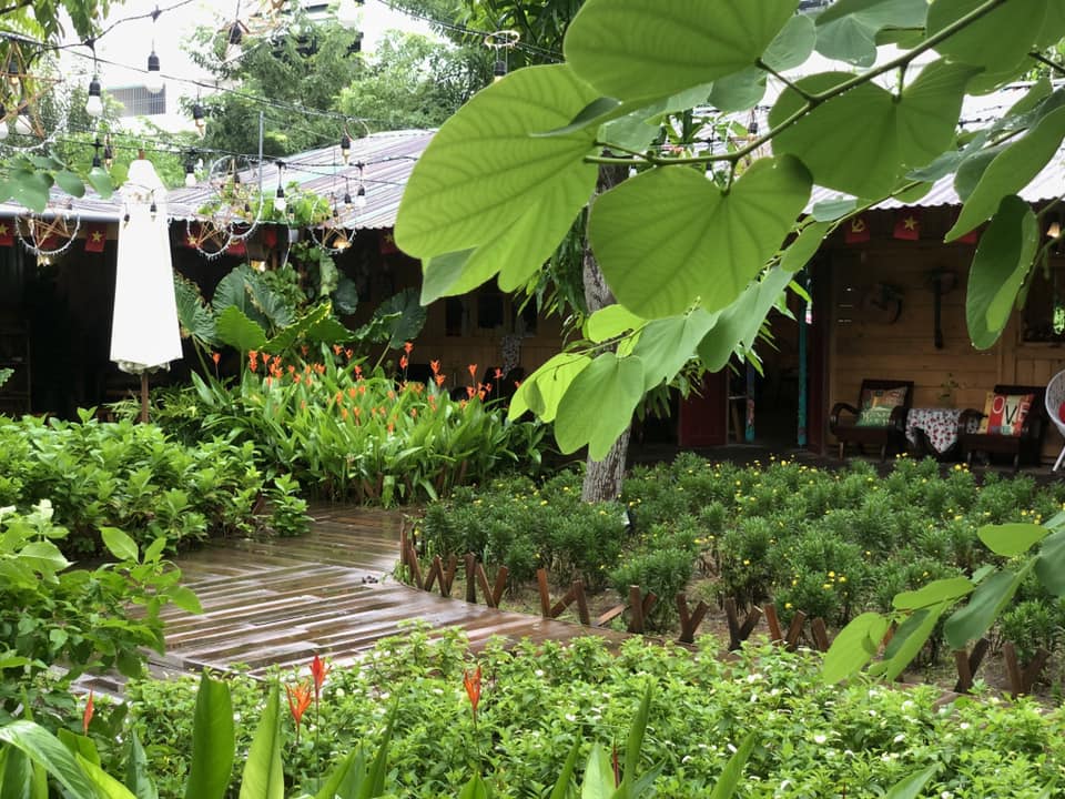 Rất nhiều cây cối bao quanh.