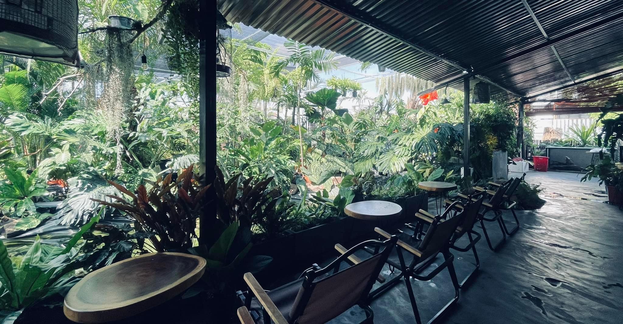Chiếc view ấn tượng tại quán.