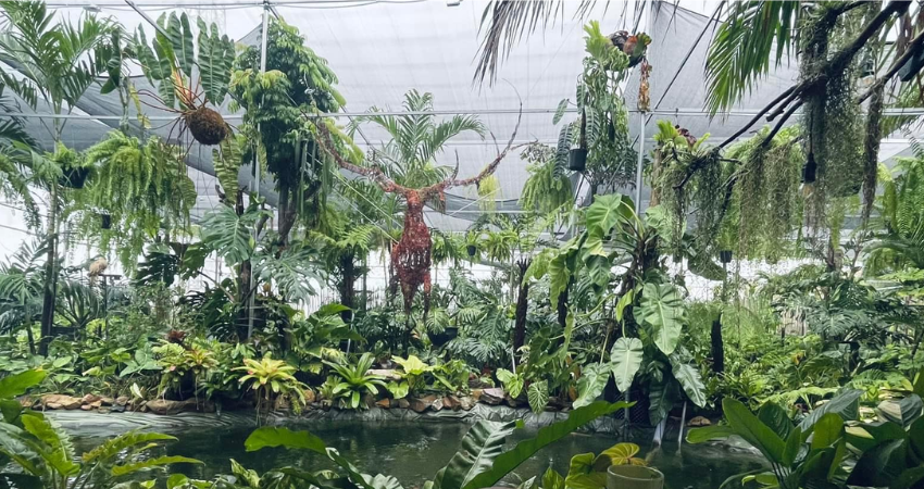 Tiệm cây và nước sở hữu không gian gần gũi với thiên nhiên.