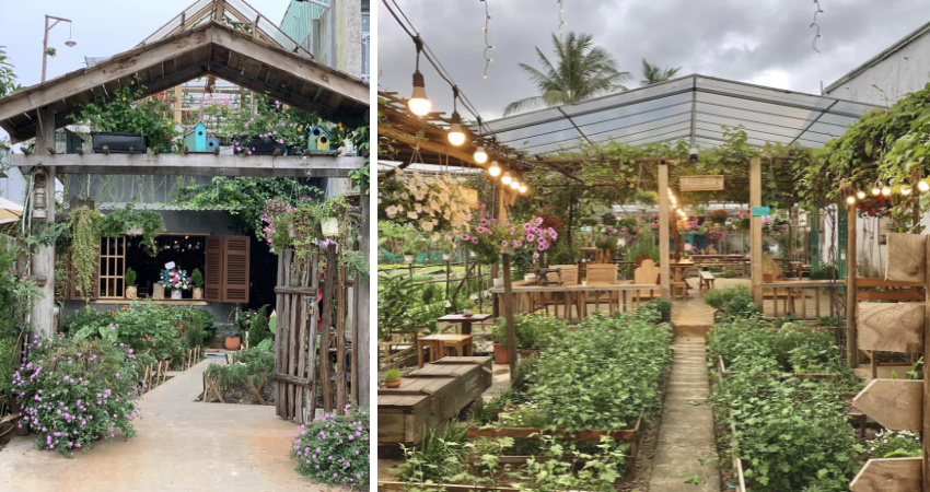 Tiệm cà phê Túi Thương Nhớ
