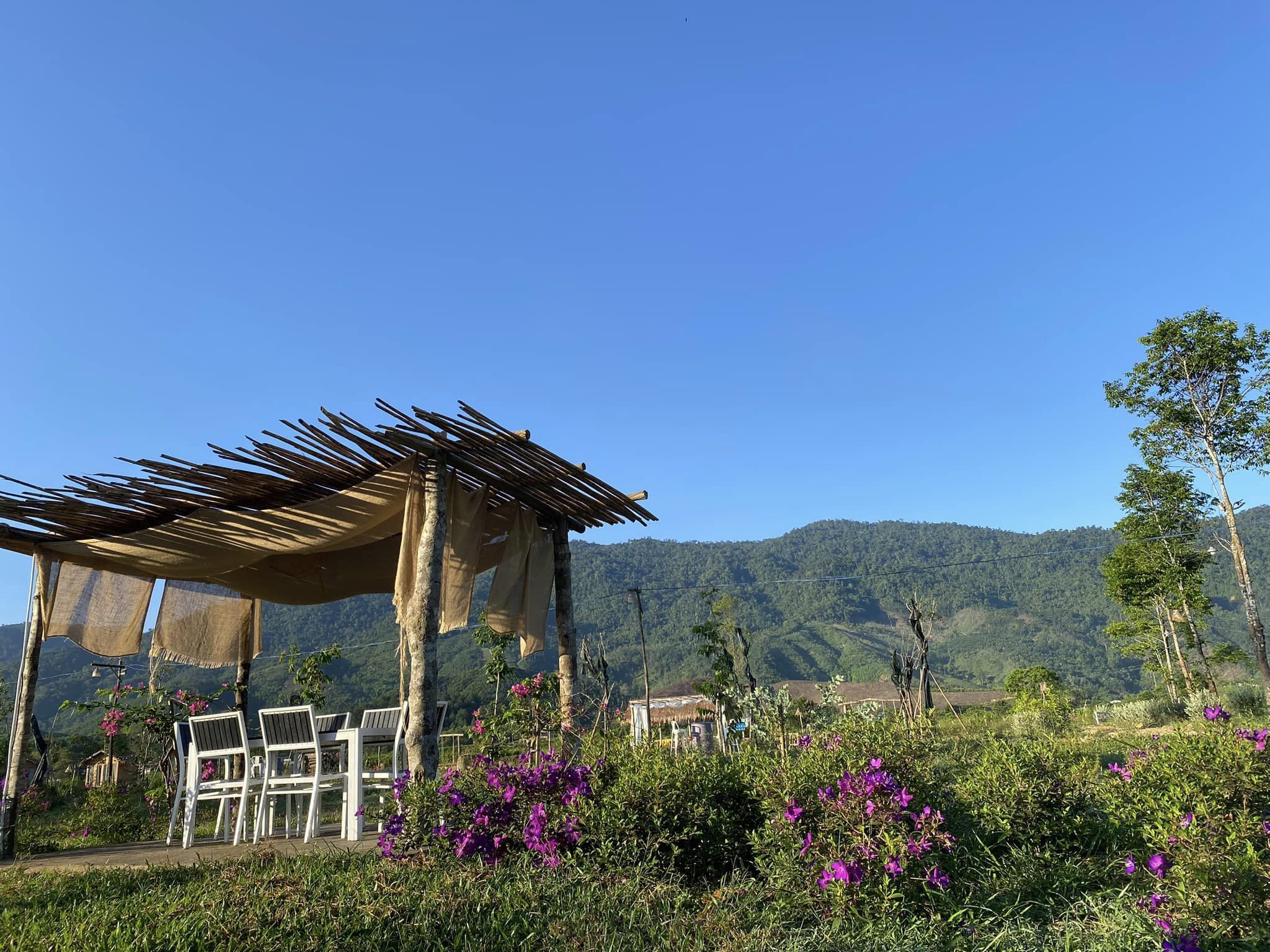 Rose Farm có rất nhiều góc check-in xịn sò.