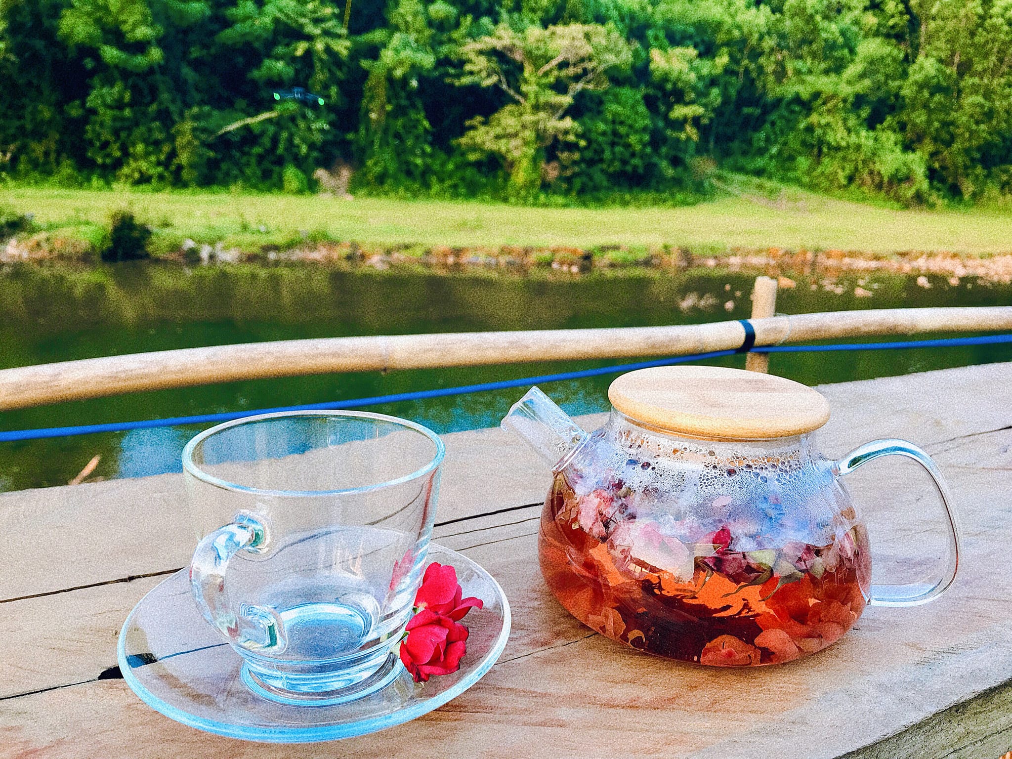 Trải nghiệm thưởng trà hoa hồng view suối. 