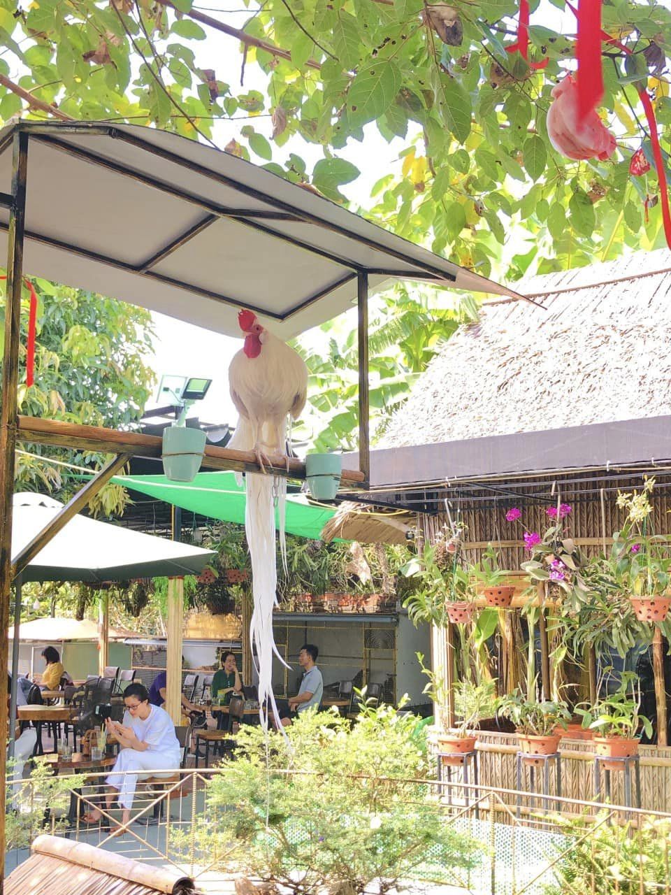Nhân vật đặc biệt tại Potato Coffee.