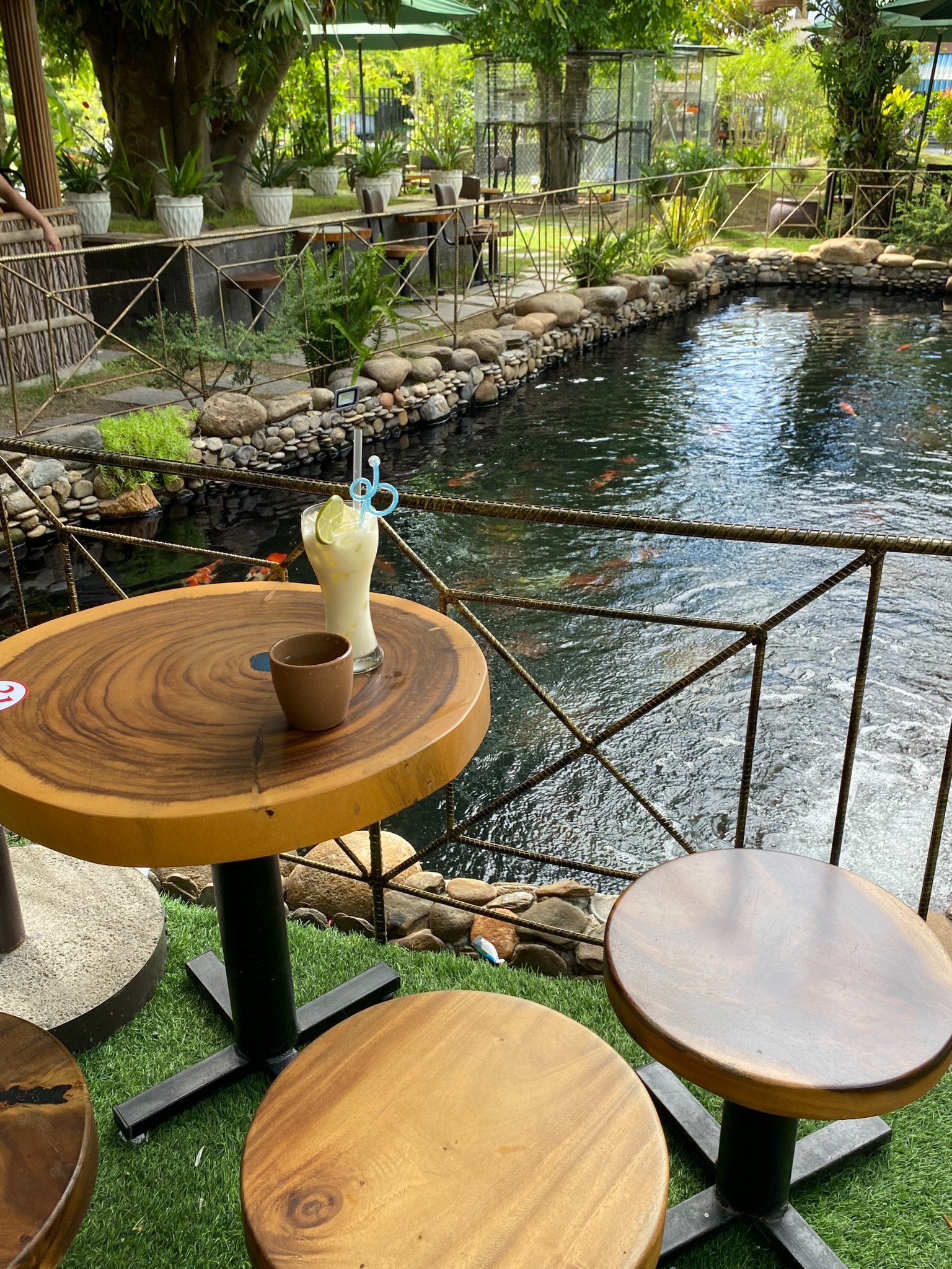 Chỗ ngồi cạnh hồ cá cực chill.