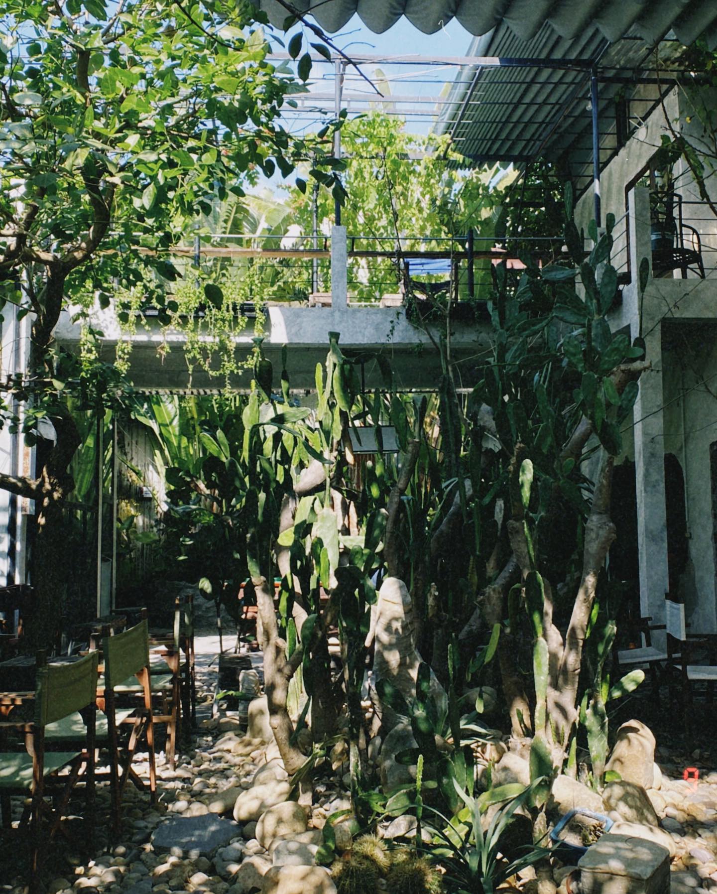 Kà phê Đại có không gian xanh mát.