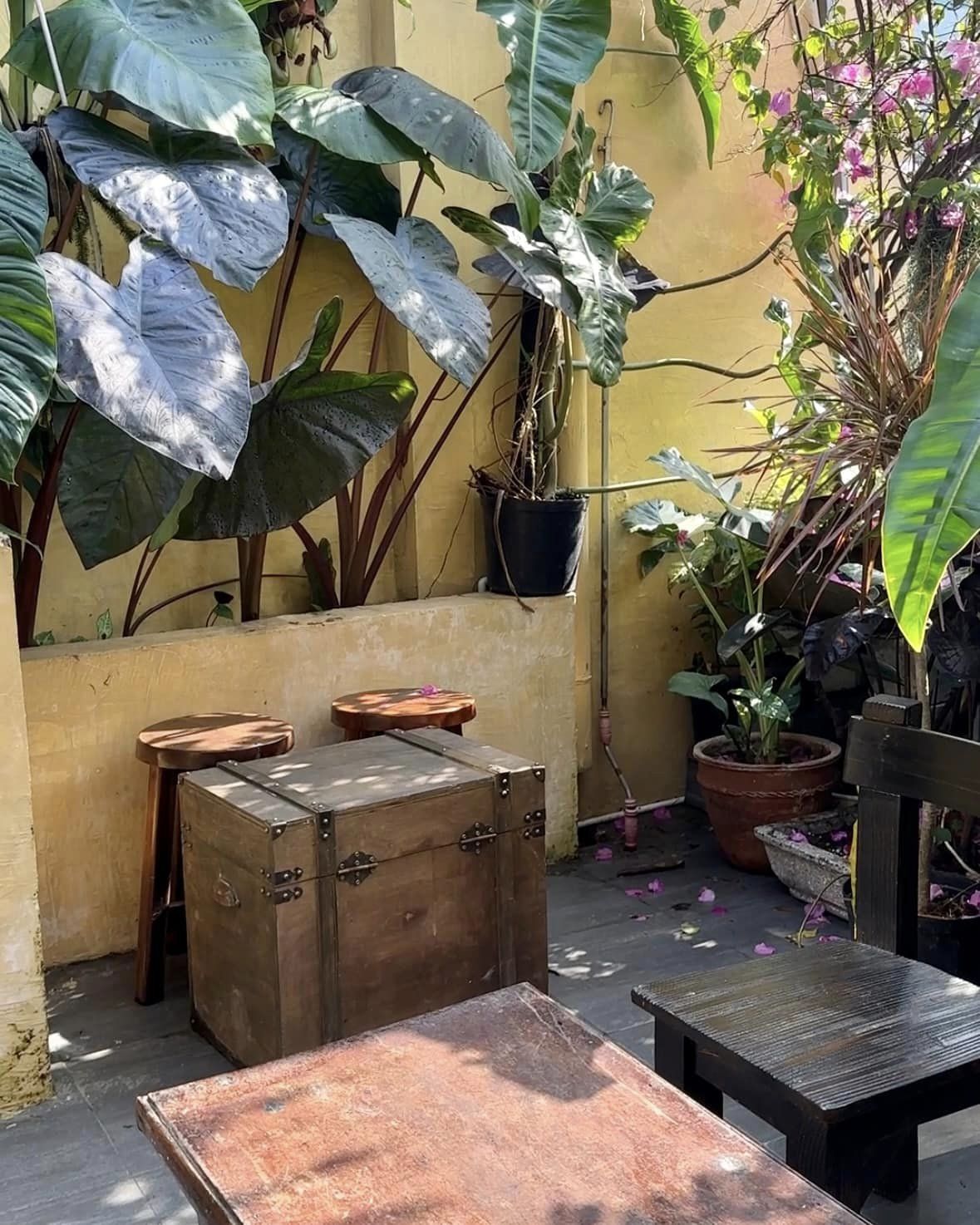 Quán phục vụ cà phê và bia.