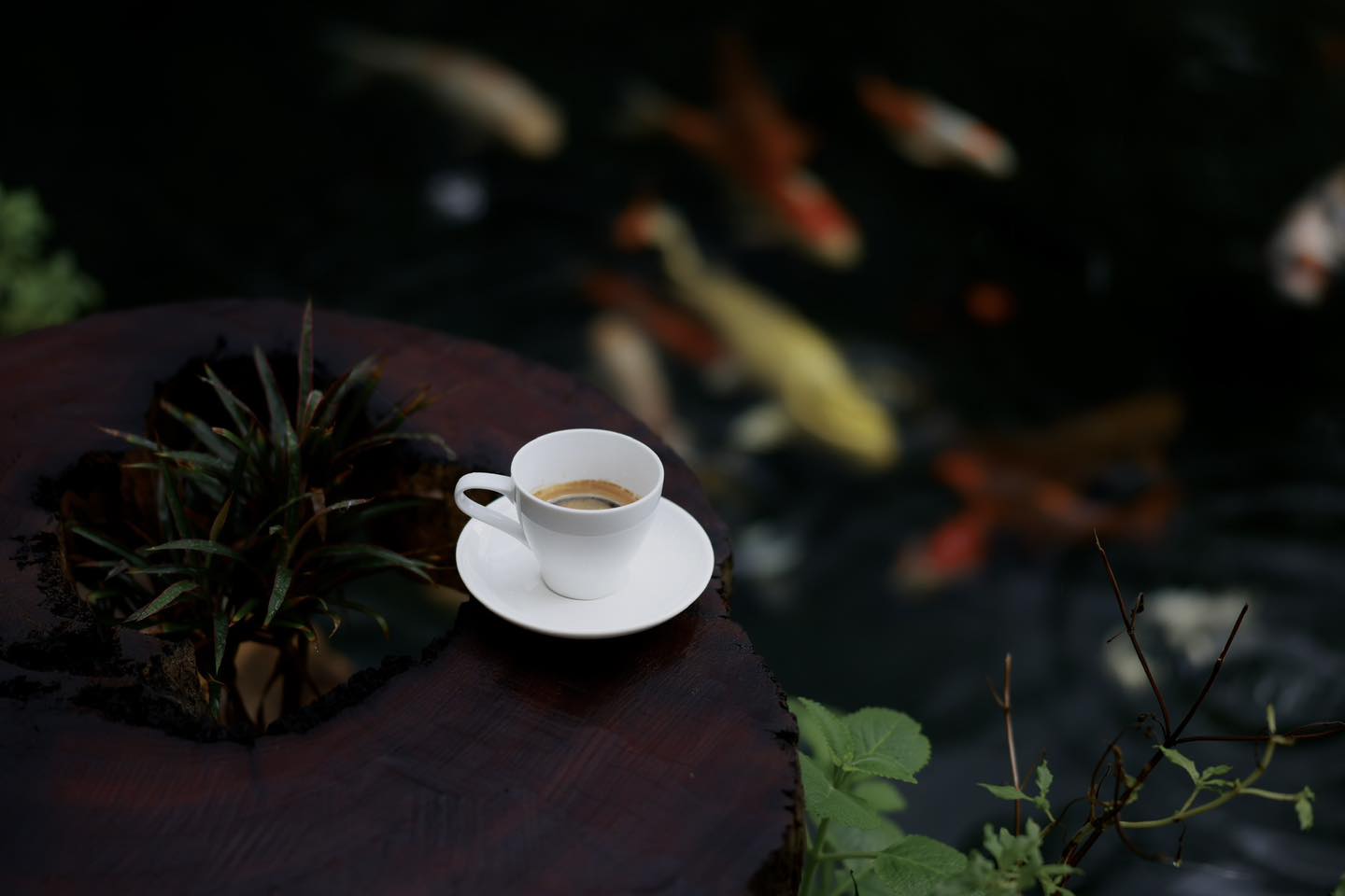 Quán thích hợp với cả ngày nắng lẫn ngày mưa.