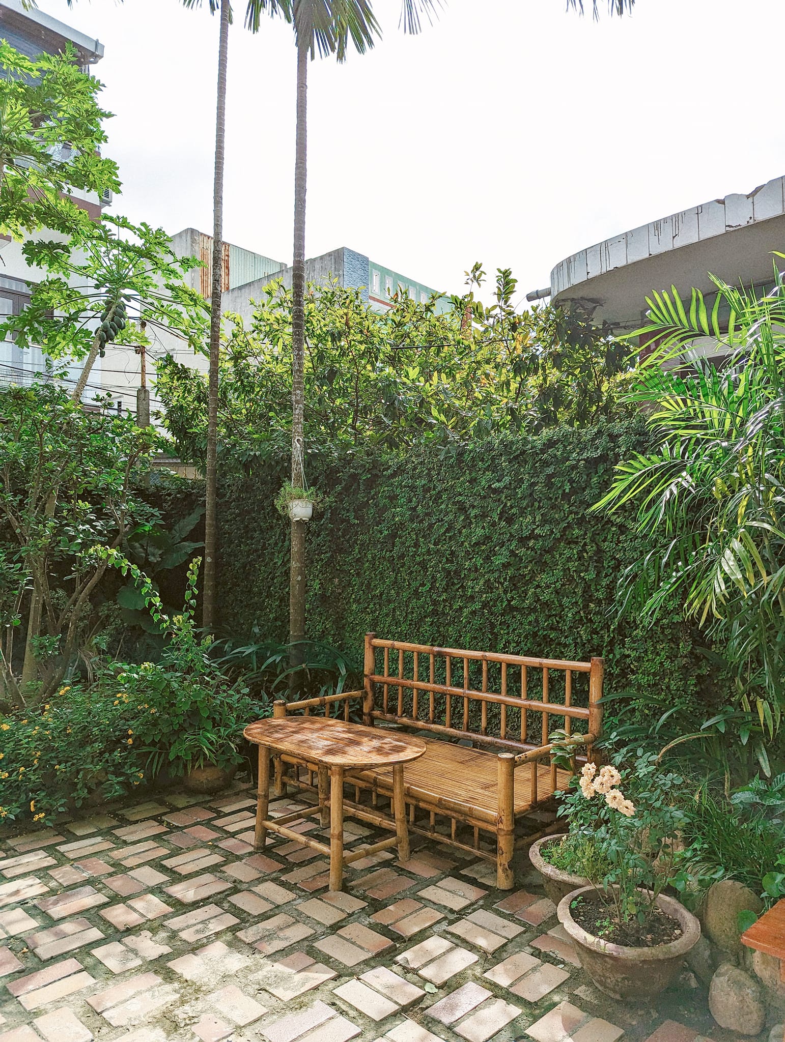 Cây cối xanh mát.