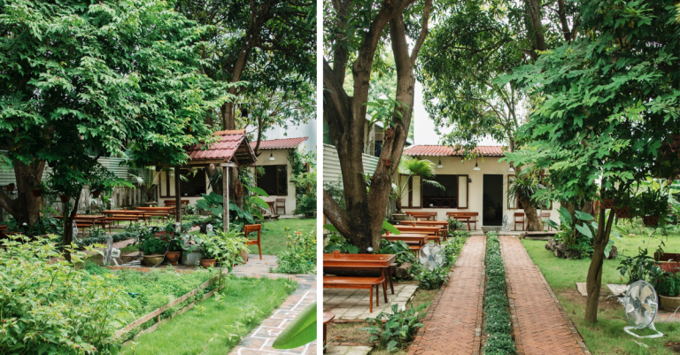 Quán cà phê sân vườn ngập tràn bóng cây cực chill