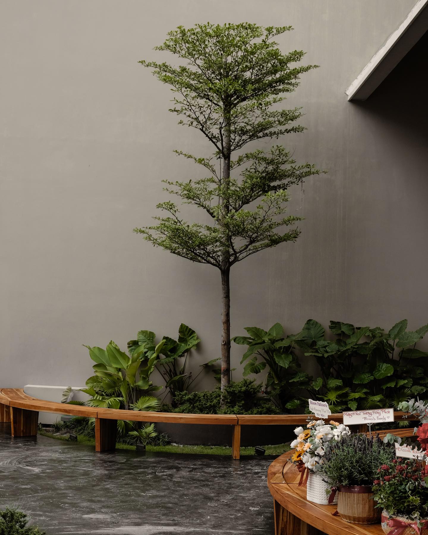 Bloom Patisserie tận dụng nhiều ánh sáng tự nhiên.