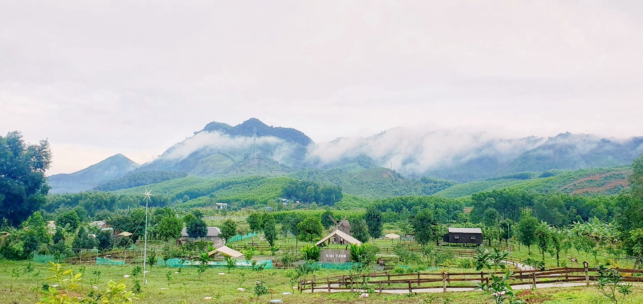 Bana Rita Glamping Farm sở hữu không gian xanh mướt.