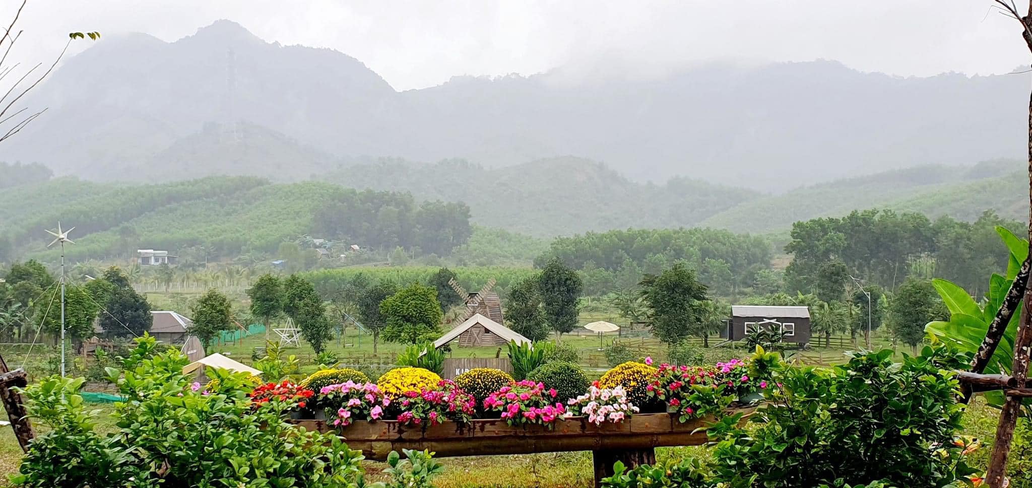 Khung cảnh nhẹ nhàng, bình yên.