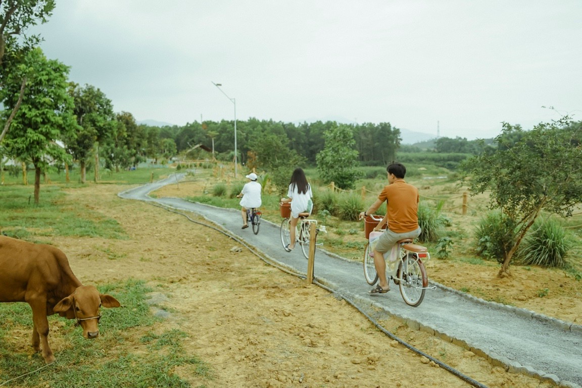 Bana Rita Glamping Farm có nhiều trải nghiệm thú vị.