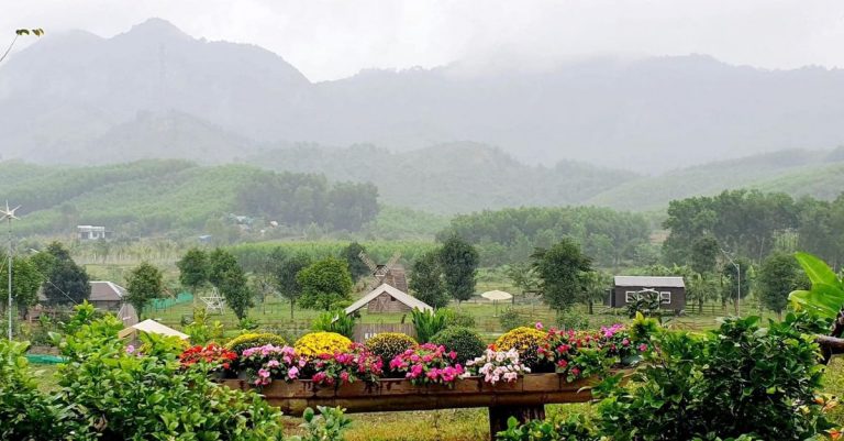 Cà phê ngắm cảnh view núi rừng cực chill