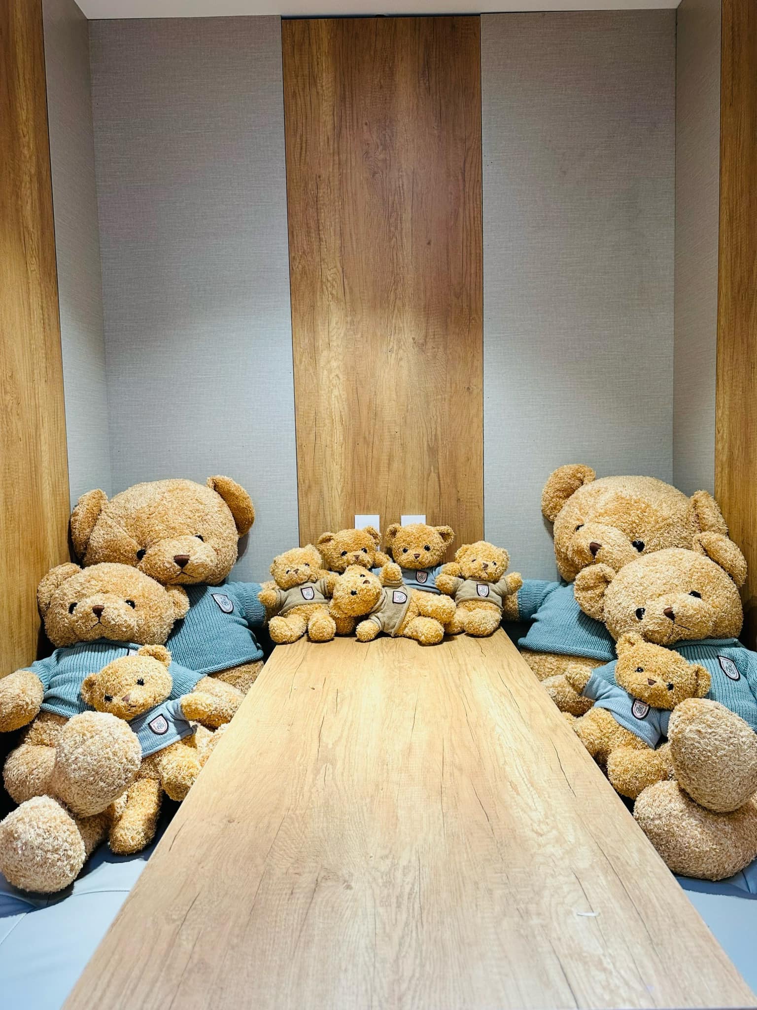 Thật nhiều gấu bông để tăng mood.