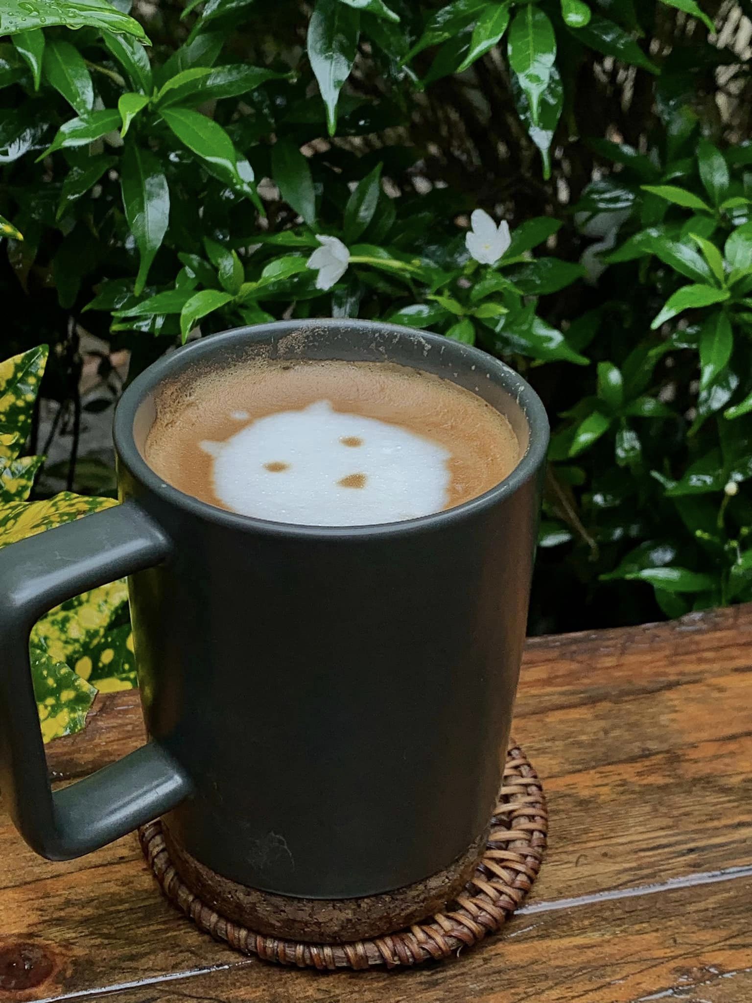 Anle có menu đa dạng, giá cả hợp lý.