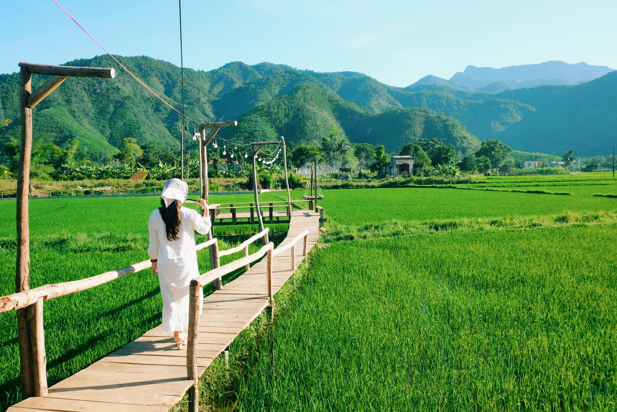 Hoà Bắc Ecologde được bao phủ bởi thiên nhiên trong lành.