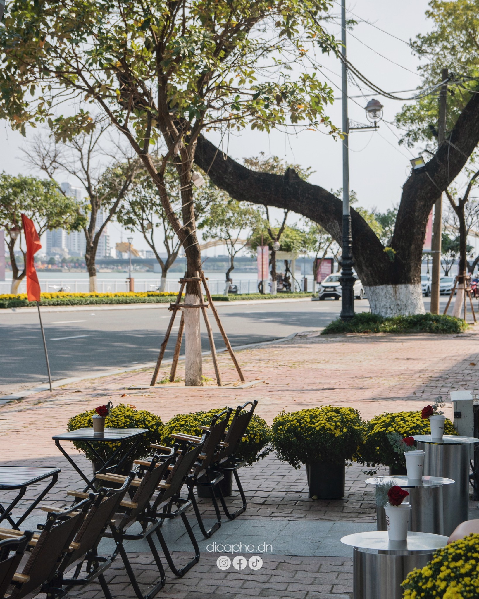 View nhìn ra sông Hàn mát mẻ.