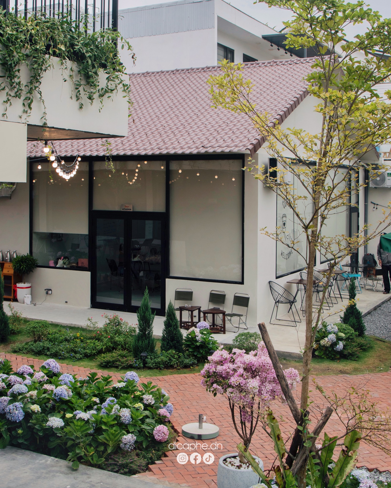 Khu vườn đầy hoa tại Webe Coffee.