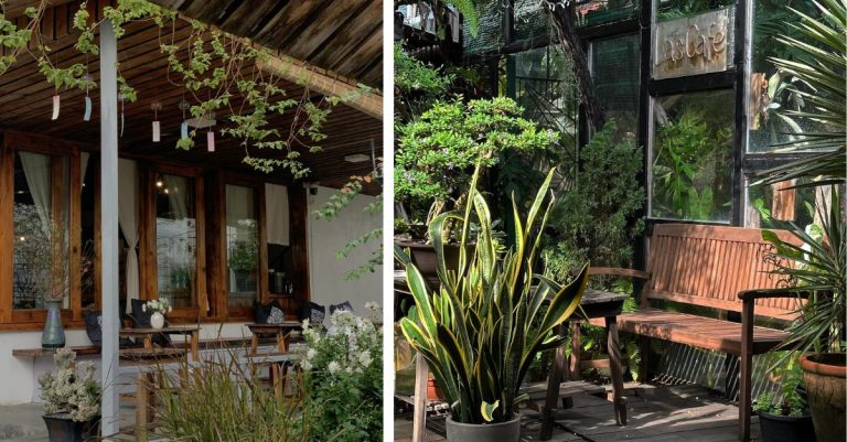 Khu vườn bí mật xanh mướt mang vibe Đà Lạt
