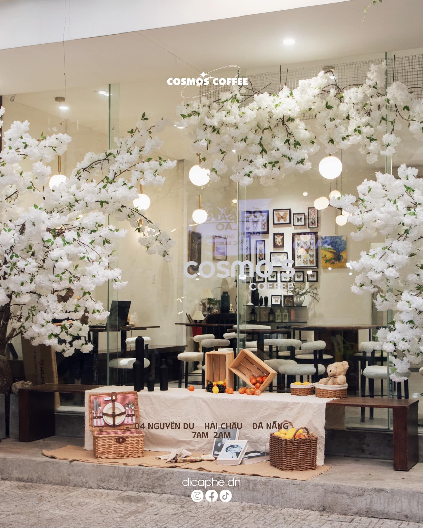 Hoa anh đào nở rộ tại Cosmos Coffee 1.