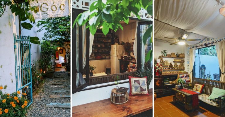 Góc trà bình yên nấp dưới bóng cây xanh mát cực chill ít người biết