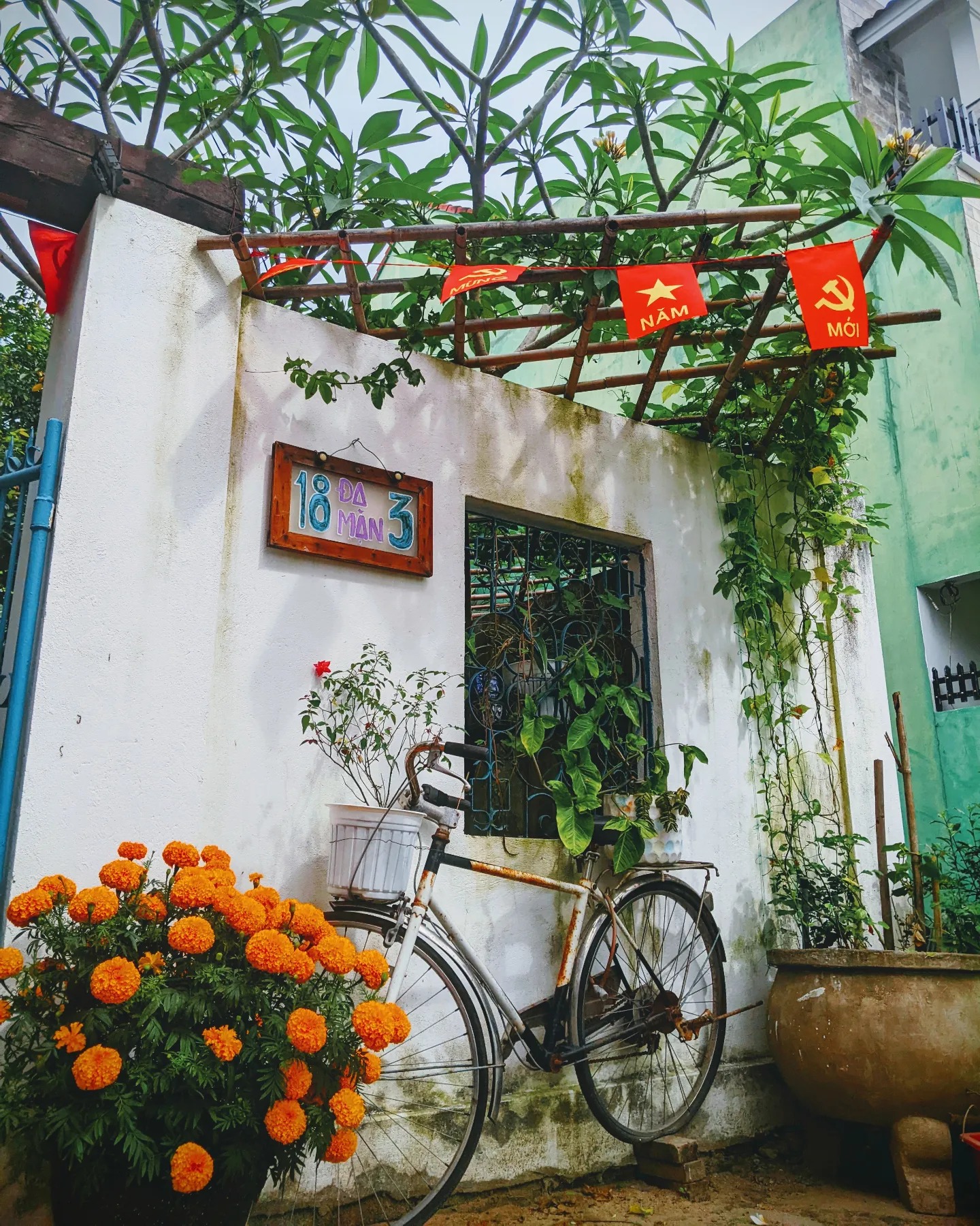 Không gian đầy cây xanh và hoa.