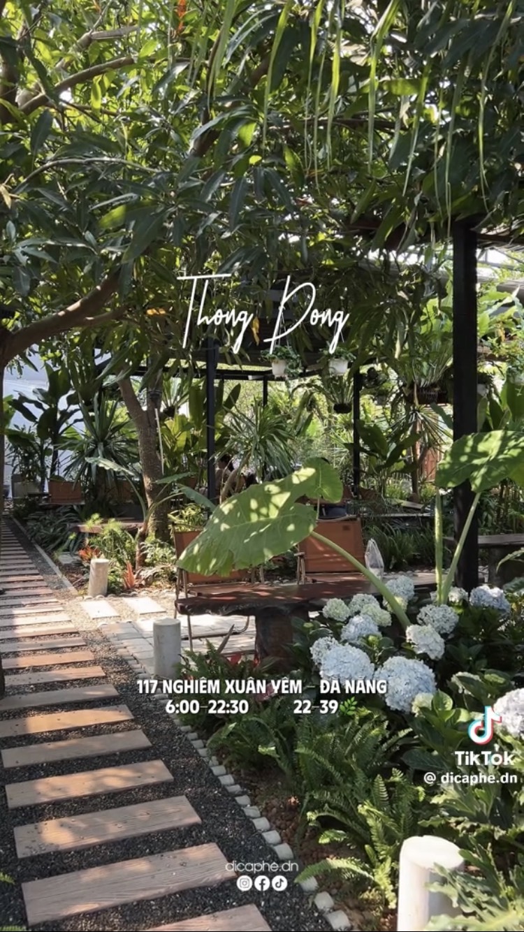 Địa điểm có cả hoa cẩm tú cầu nở rộ.