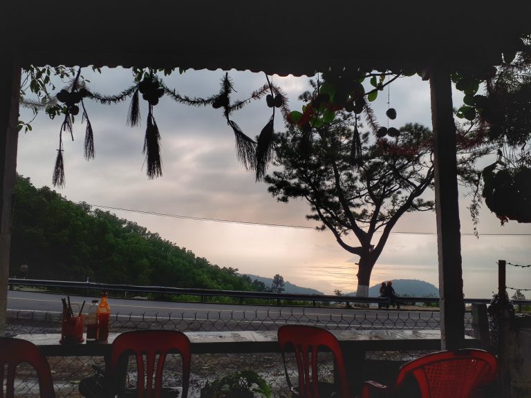 Cây thông Cô đơn
