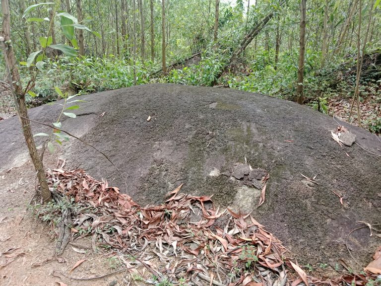 Suối Hòa Phú